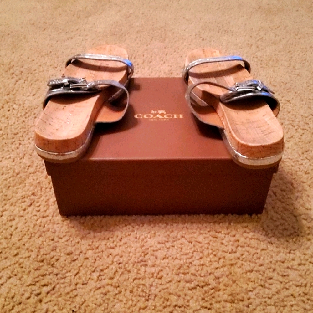Coach Silver Slides